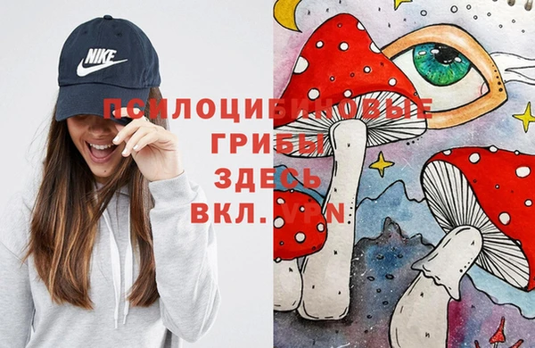 прущие крисы Баксан