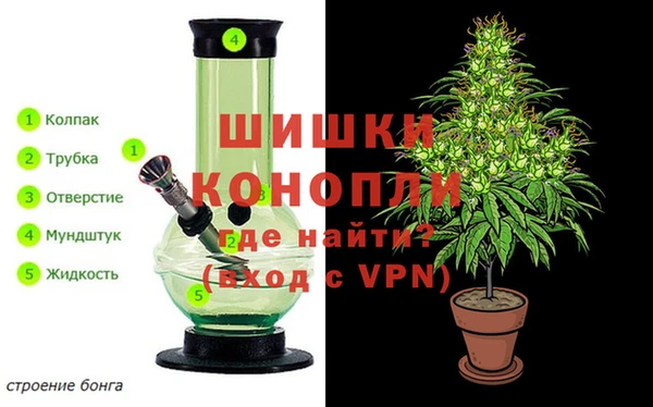 не бодяженный Аркадак