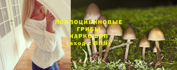 гидра Сафоново